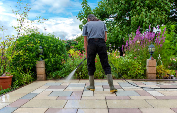Professional Pressure Washing Services in Camanche North Shore, CA