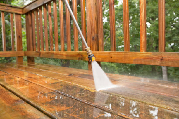 Animal Enclosure Cleaning in Camanche North Shore, CA